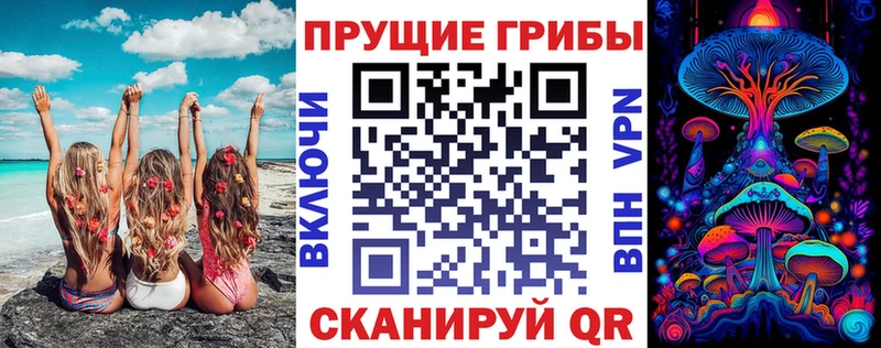 сколько стоит  гидра зеркало  Псилоцибиновые грибы мухоморы  Мыски 